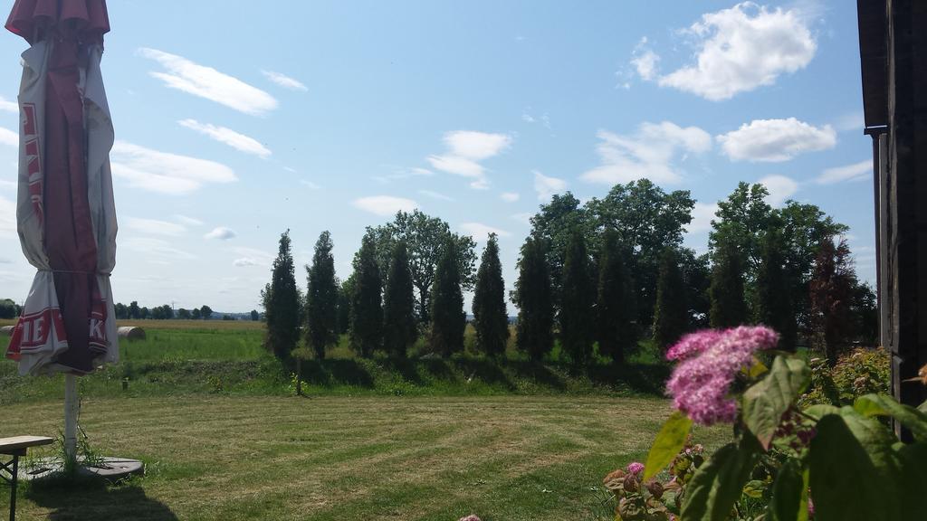 Pawlakowa Zagroda Hotel Grabiny-Zameczek Szoba fotó